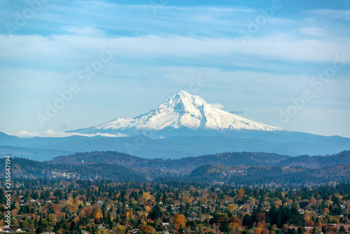 Mt. Hood and Forested Hills