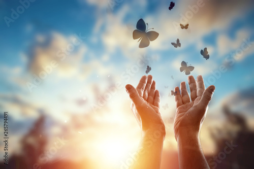 Hands close up on the background of a beautiful sunset, a flock of butterflies flies, enjoying nature. The concept of hope, faith, religion, a symbol of hope and freedom.