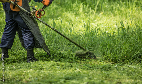 lawnmower with mowing trimmer mows the lawn