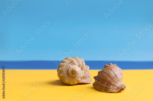 Sea shells on beach over seascape background. Summer concept with free space for text.