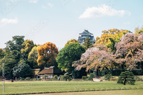 Okayama castle and Korakuen garden at spring in Japan