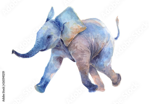 Watercolor drawing. Walk a little baby elephant