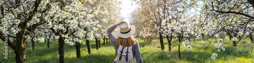 Woman with straw hat enjoying time in blossom cherry orchard at spring