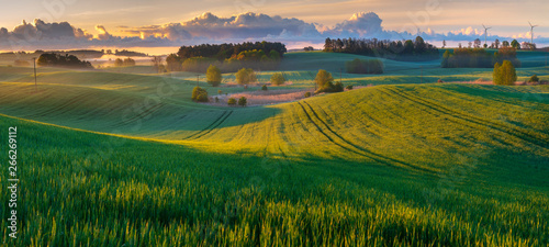 panorama of a beautiful, ecological farmland at sunrise. Waved, green field, forest,windmills and morning fog forming a beautiful, rural landscape