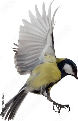 illustration with yellow great tit in flight