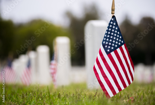 Small American flags and headstones at National cemetary- Memorial Day display