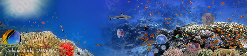 Podwodny świat - panorama