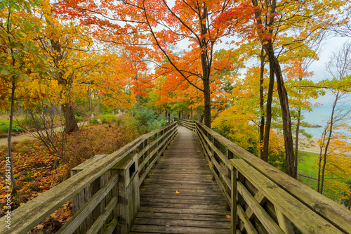 Fall bridge in the midwest