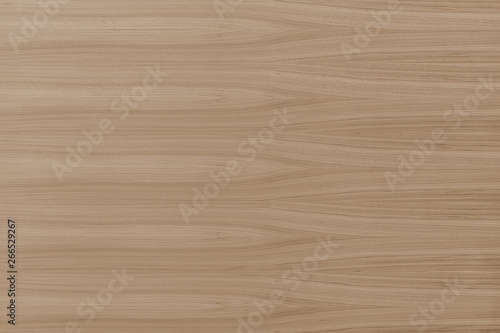 brown tree timber lumber wooden texture wallpaper backdrop