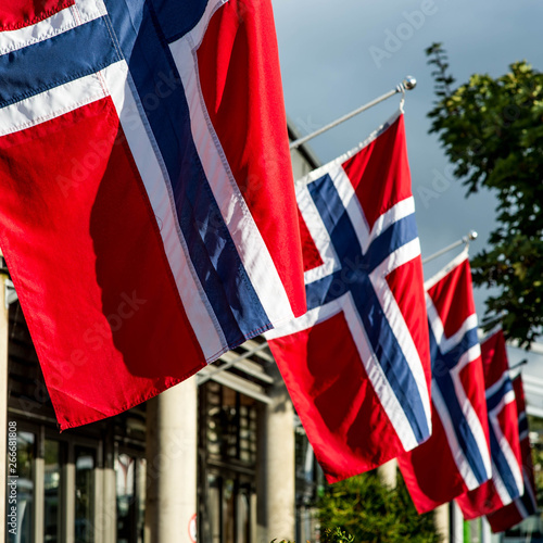 A Line Of Norwegian National Flags