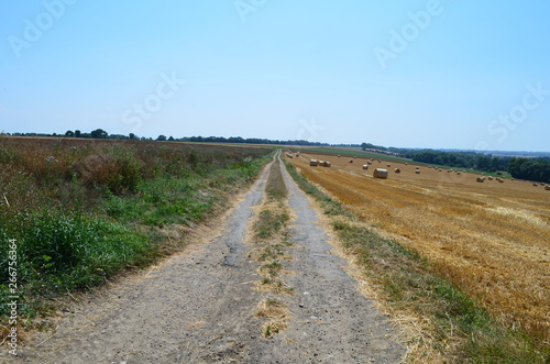 Chemin agricole dans la région d'Arromanches (Calvados - Normandie - France) 