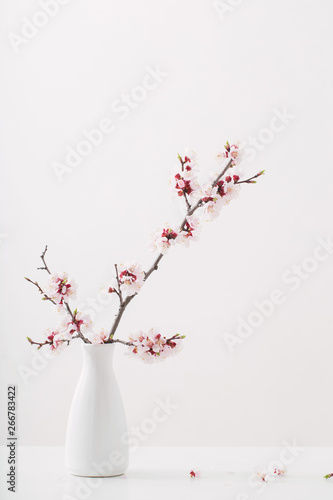 flowering cherry branch in vase on white background