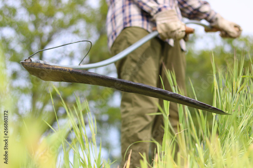 to harvesting a field with old scythe