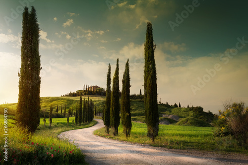 summer farmland and country road; tuscany countryside rolling hills