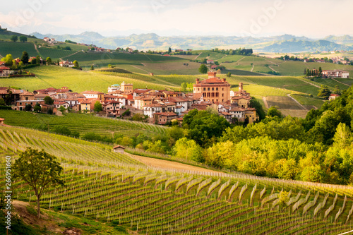 Vineyards of Barolo