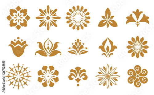 Vector floral set. Spring or summer design for invitation, wedding or greeting cards. Design elements in graphic style. White and gold ornament