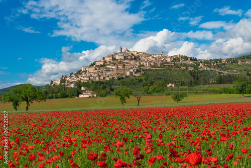 Trevi (Italy) - The awesome medieval town in Umbria region, central Italy, during the spring and flowering of poppies.