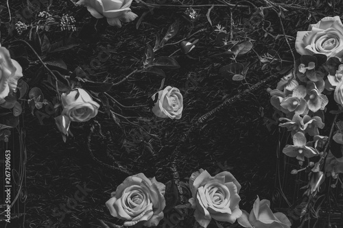 Beautiful vintage roses Is a picture of a black rose Beautiful patterns for making various media