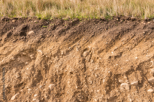 cross section of soil layers with grass on top