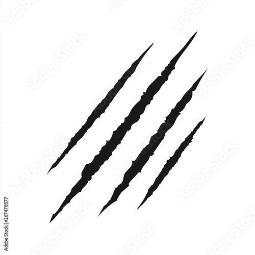 Claw scar. Vector illustration. Isolated.