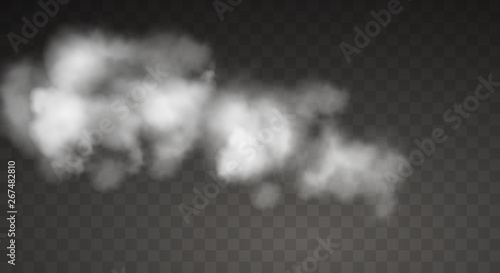Fog or smoke, white cloud isolated transparent special effect.