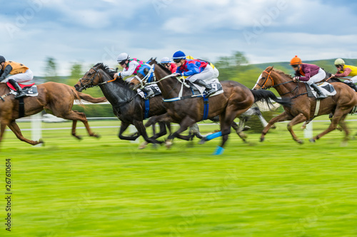 Horse racing outdoor derby