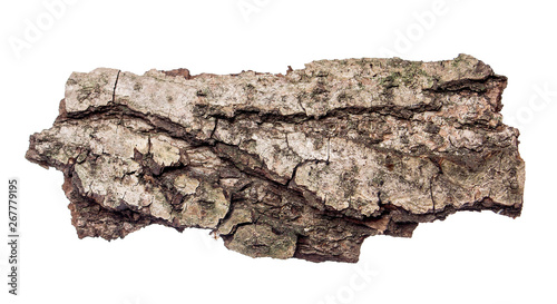 piece of tree bark on isolated white background