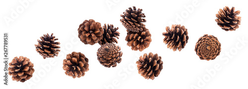 Falling pinecones isolated on white background with clipping path