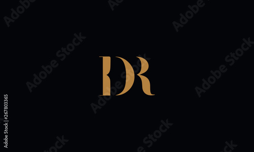 DR logo design template vector illustration