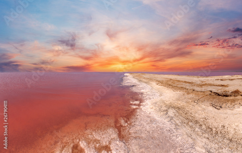 Sunset pink salty Syvash Lake, Ukraine