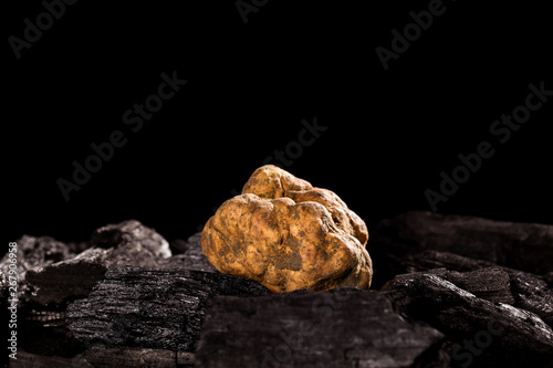 White truffle (tuber magnatum) on black.