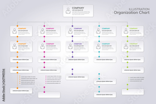 organigramme