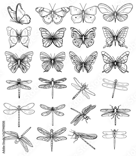  isolated, set of sketches of butterflies and dragonflies on a white background