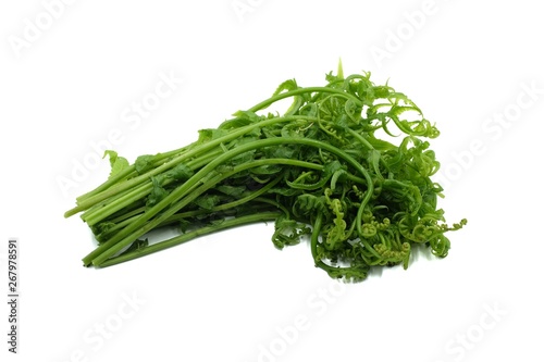 Paco Fern, Small Vegetable fern, Vegetable fern on white background