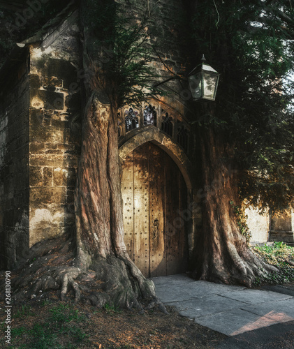 Stow on the wold, England. Door among trees. Historical building in the Great Britain. Travel and adventure. Stow on the wold, England - image