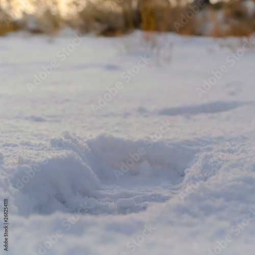 Square Close up of a footprint impressed on the powdery white snow covering the ground