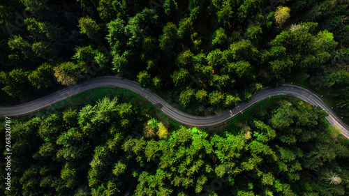 Winding road trough dense pine forest. Aerial drone view, top down
