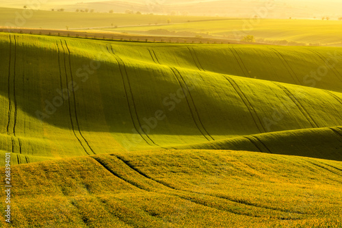 Arable fields prepared for sowing the grain. green background. Moravian fields