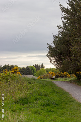 Scotstown Moor Path in Aberdeen, Scotland
