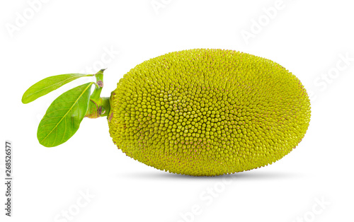 jack fruits on white background. full depth of field