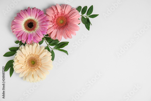 Flat lay composition with beautiful bright gerbera flowers on white background. Space for text