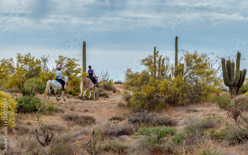 Women Riding Horses On A Desert Trail In Arizona