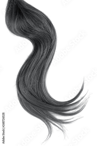 Black hair isolated on white background. Long wavy ponytail