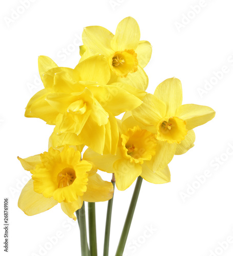 Bouquet of yellow narcissus flowers