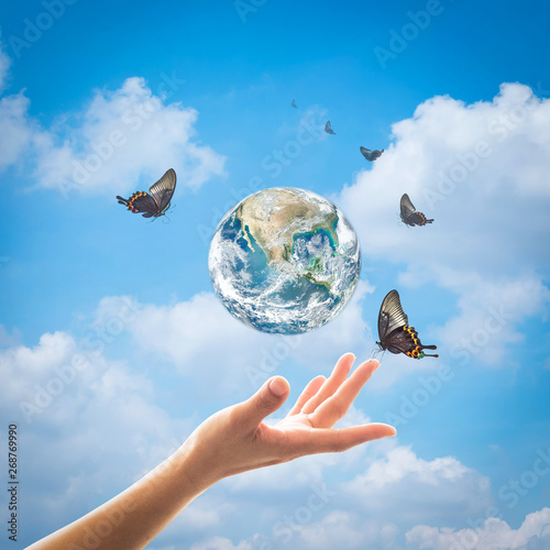 World environment day, ecology and ozone layer protection concept with woman's hand supporting earth planet under sun light flare with beautiful butterfly: Elements of this image furnished by NASA ..