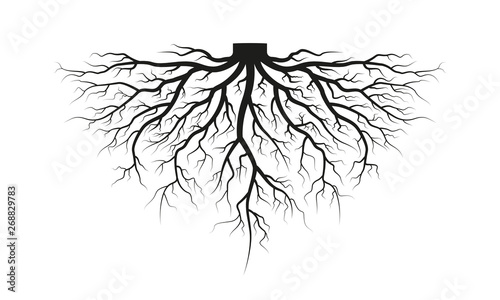 Root of the tree. Black silhouette. Vector illustration.