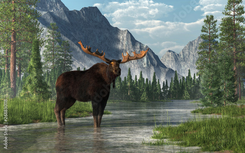 A bull moose stands in the ankle deep waters of a shallow, lazy river that winds its way through a forested valley. Fir trees and long grass line the banks of the rivers. 3D Rendering