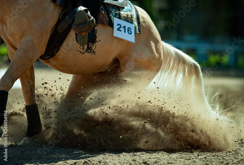 quarter horse while performing the reining western element with a cloud of dust detail closeup