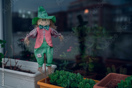 lovely scarecrow for save flower in balcony 