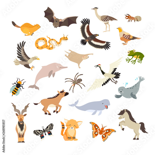 Animals cartoon vector set. Cartoon illustration, isolated on a white background